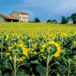 Osservatorio nazionale del paesaggio rurale